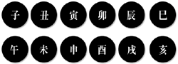 ¶ìº°¿î¼¼ Ǫ¸¥¹ì¶ìÇØÀÇ 2025³âµµÅäÁ¤ºñ°á